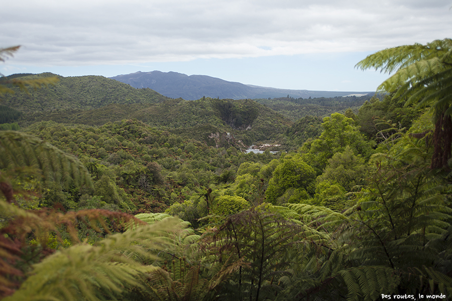 Vue d'ensemble de la vallée