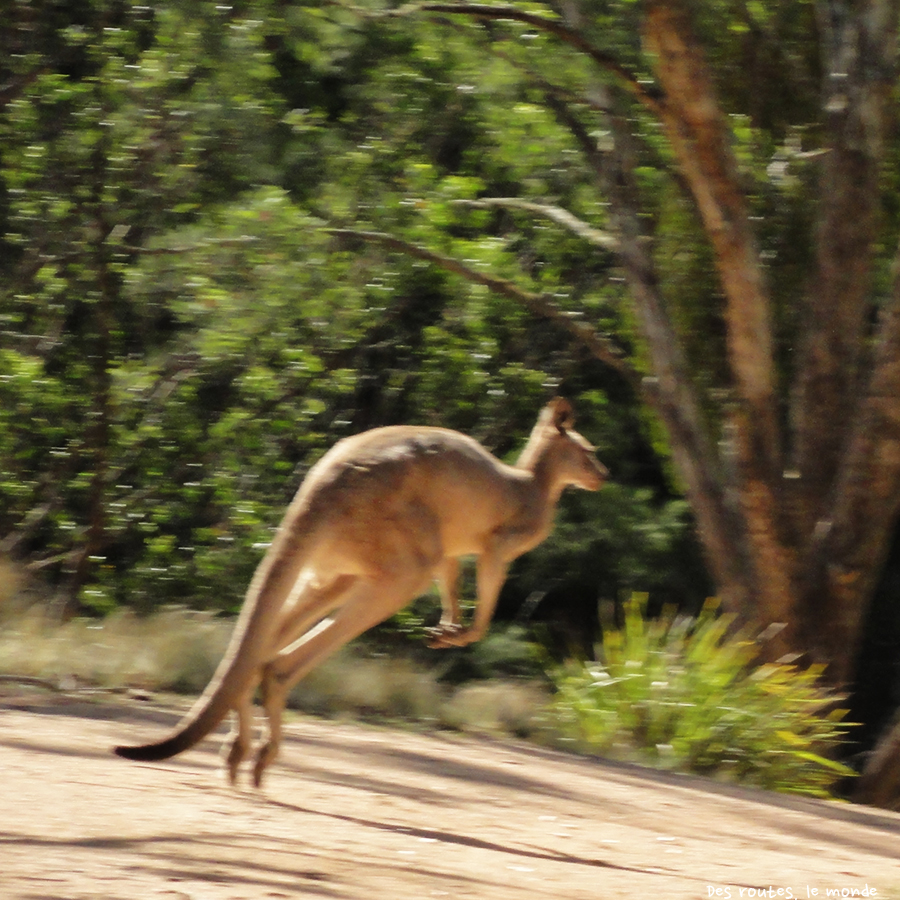 Australie