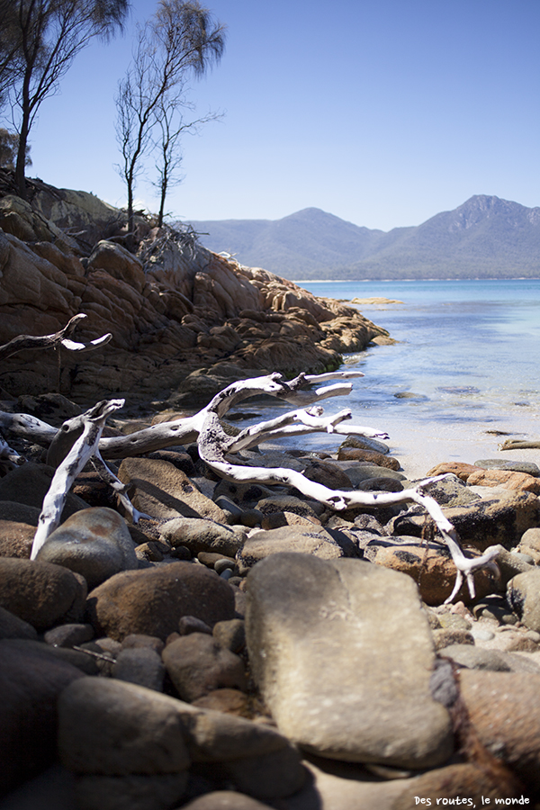 Hazards Beach