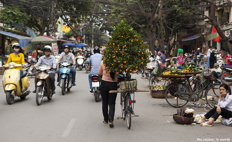 Vietnam