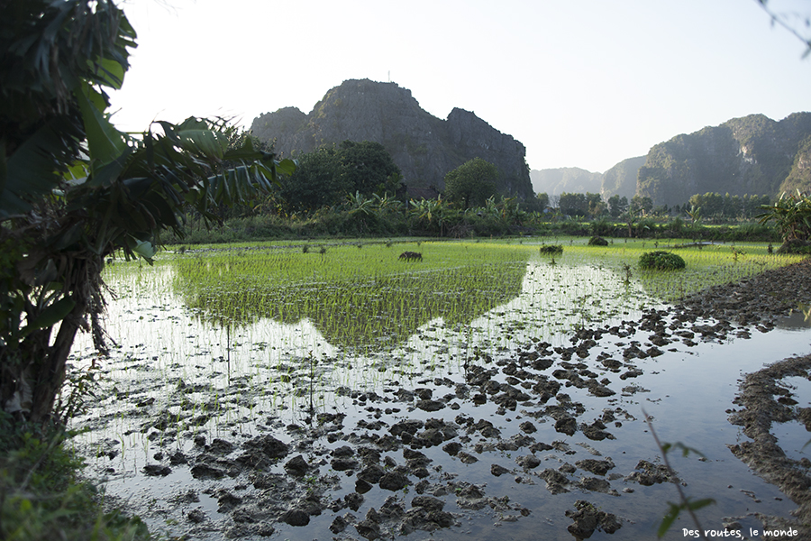 Tam Coc