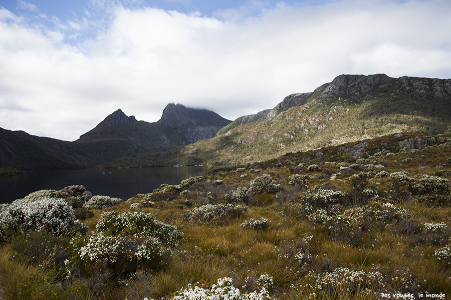 Le Cradle Summit dans les nuages