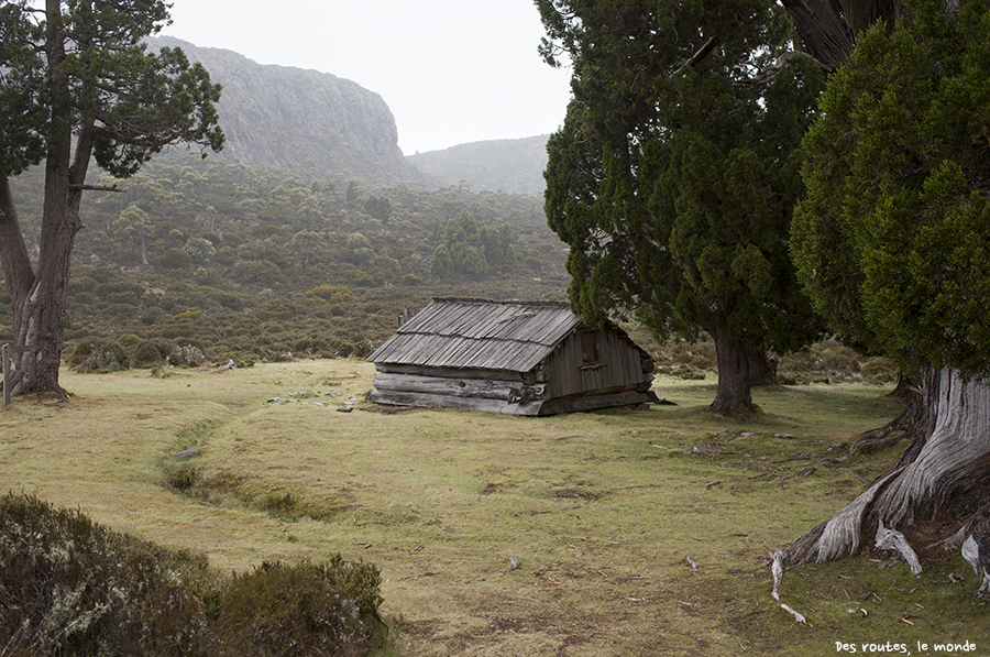 Le petit refuge de Dixon's Kingdom