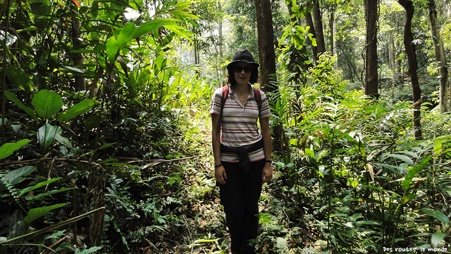 Céline dans la jungle