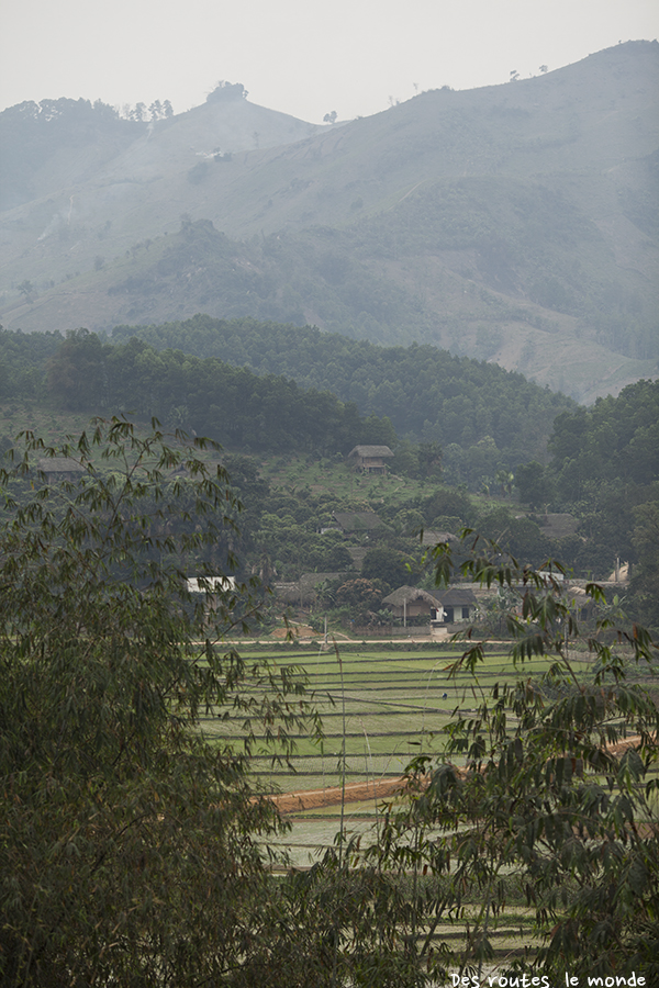 Green Vietnam au milieu de la vallée