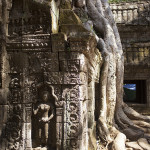 Ta Prohm 7