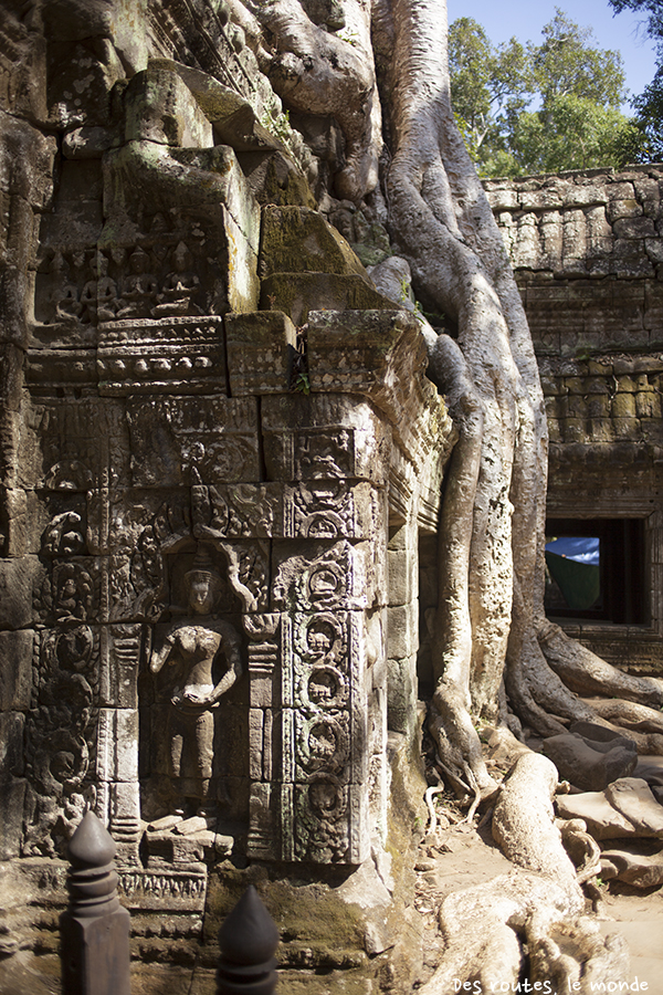 Ta Prohm 7