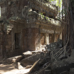 Ta Prohm 1