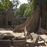 Ta Prohm 3