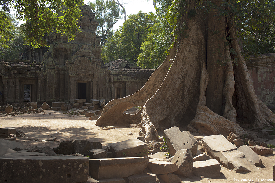 Ta Prohm 3