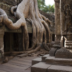 Ta Prohm 5