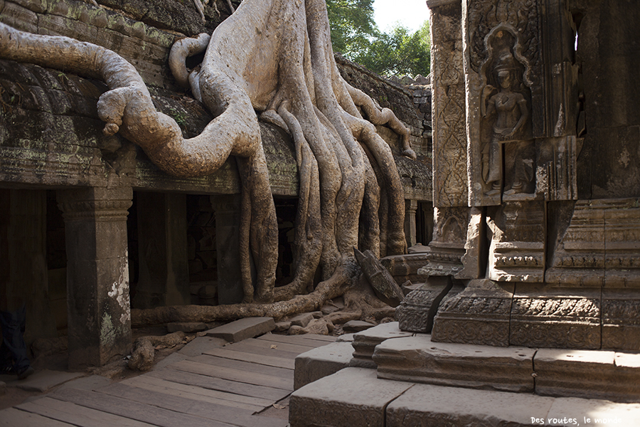 Ta Prohm 5