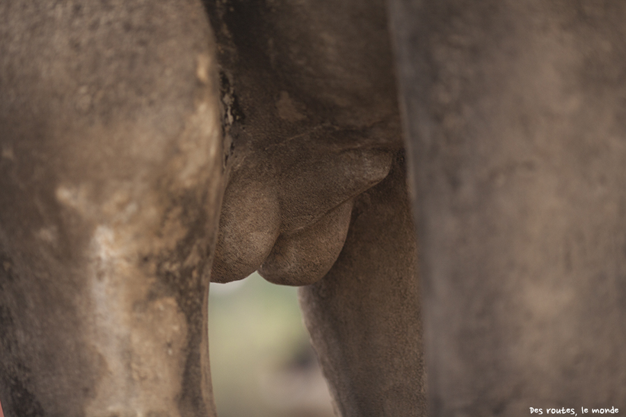 Détail des temples