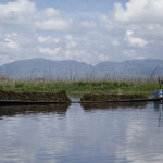 Pêcheur d'algues sur le Lac Inle