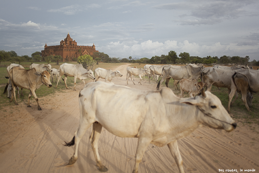 Myanmar