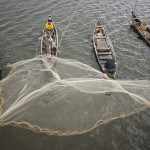 Toujours du poisson