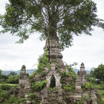 Un arbre dans un stupa