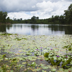 Le lac Madhavpur