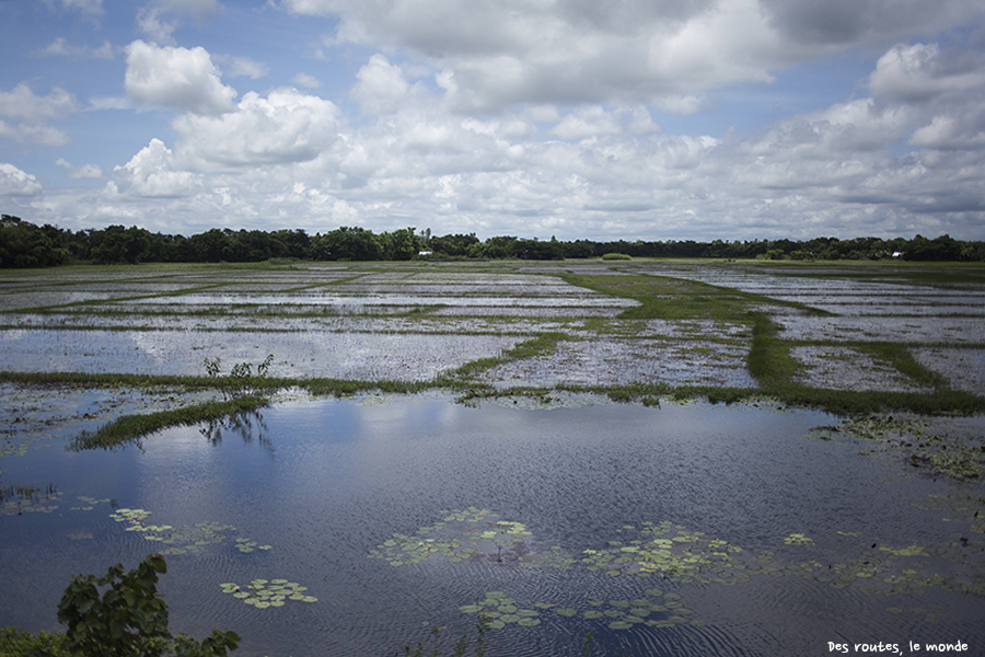 Le pays de l'eau