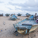 Des barques de pêcheurs