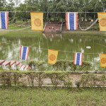 Jardin à Rajgir 2