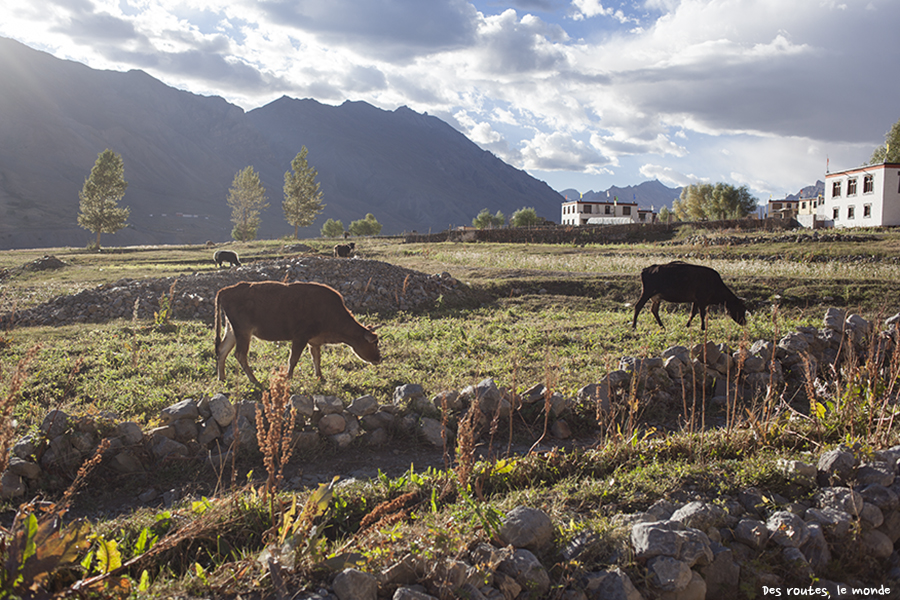 Fin de jour sur Kaza