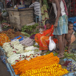 Encore quelques fleurs