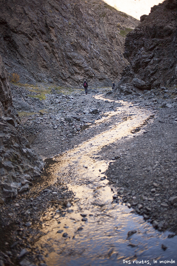 Dans la vallée de Yolyn Am