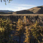 Le désert et la forêt