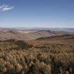 La forêt et la vallée