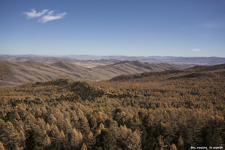 La forêt et la vallée