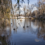 Promenade dans Gorki Park