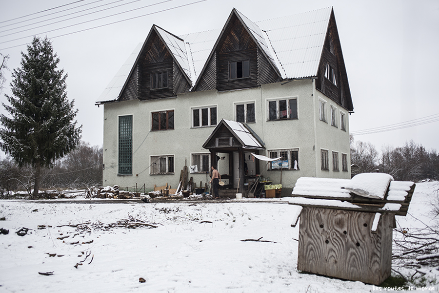 Saldobosh, la ferme des buffles