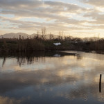 Vue sur les Carpates